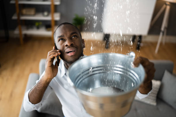 Best Flood damage cleanup  in Parsons, KS