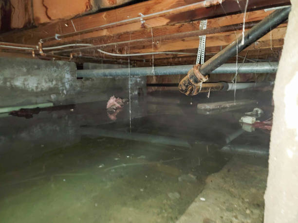 Best Water damage cleanup near me  in Parsons, KS