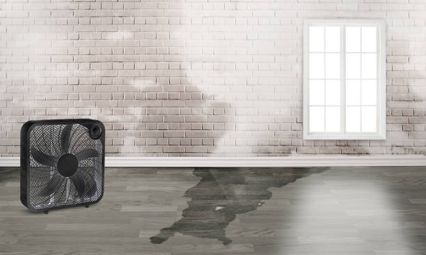 Best Emergency water damage restoration  in Parsons, KS