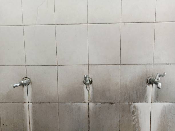 Best Water damage contractors near me  in Parsons, KS