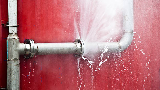 Best Flood damage cleanup  in Parsons, KS